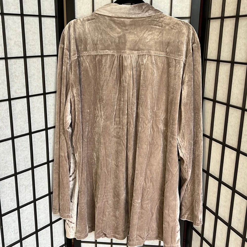 NWOT Parsley & Sage Velvet Top Floral Embroidered Boho Button Down Taupe - Picture 6 of 6